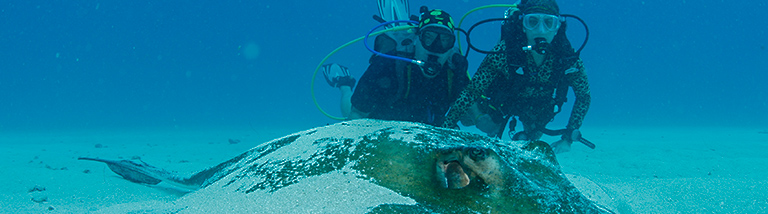 Splash Red Sea Hurghada