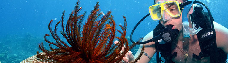 Splash Red Sea Hurghada