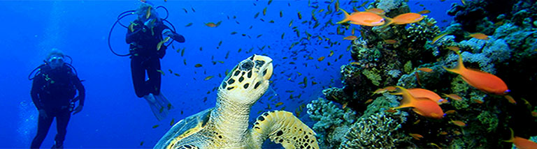 Splash Red Sea Hurghada